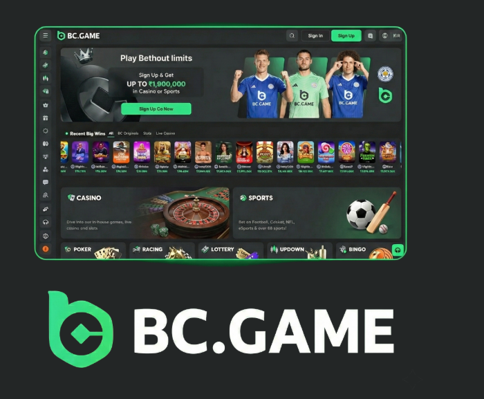 Discover BC.Game Official Mirror Your Gateway to Online Gaming Discover BC.Game Official Mirror Your Gateway to Online Gaming